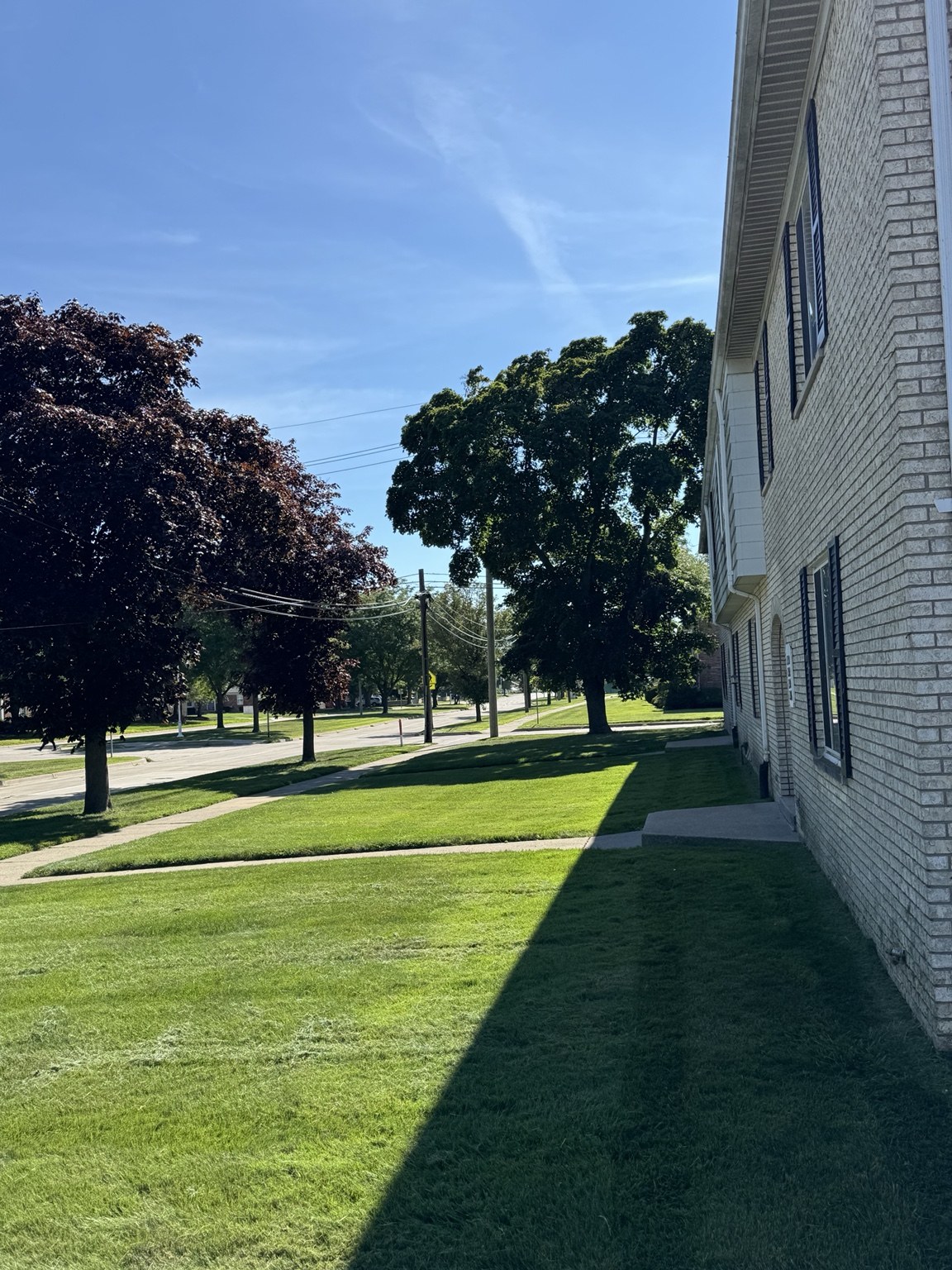 Lawn beside building in bright sun